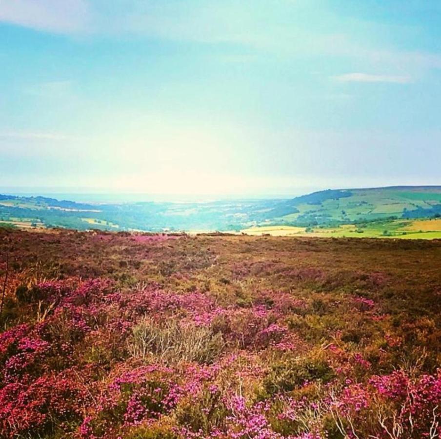 Sycamore - Yorkshire Coast Lets Holiday home Whitby