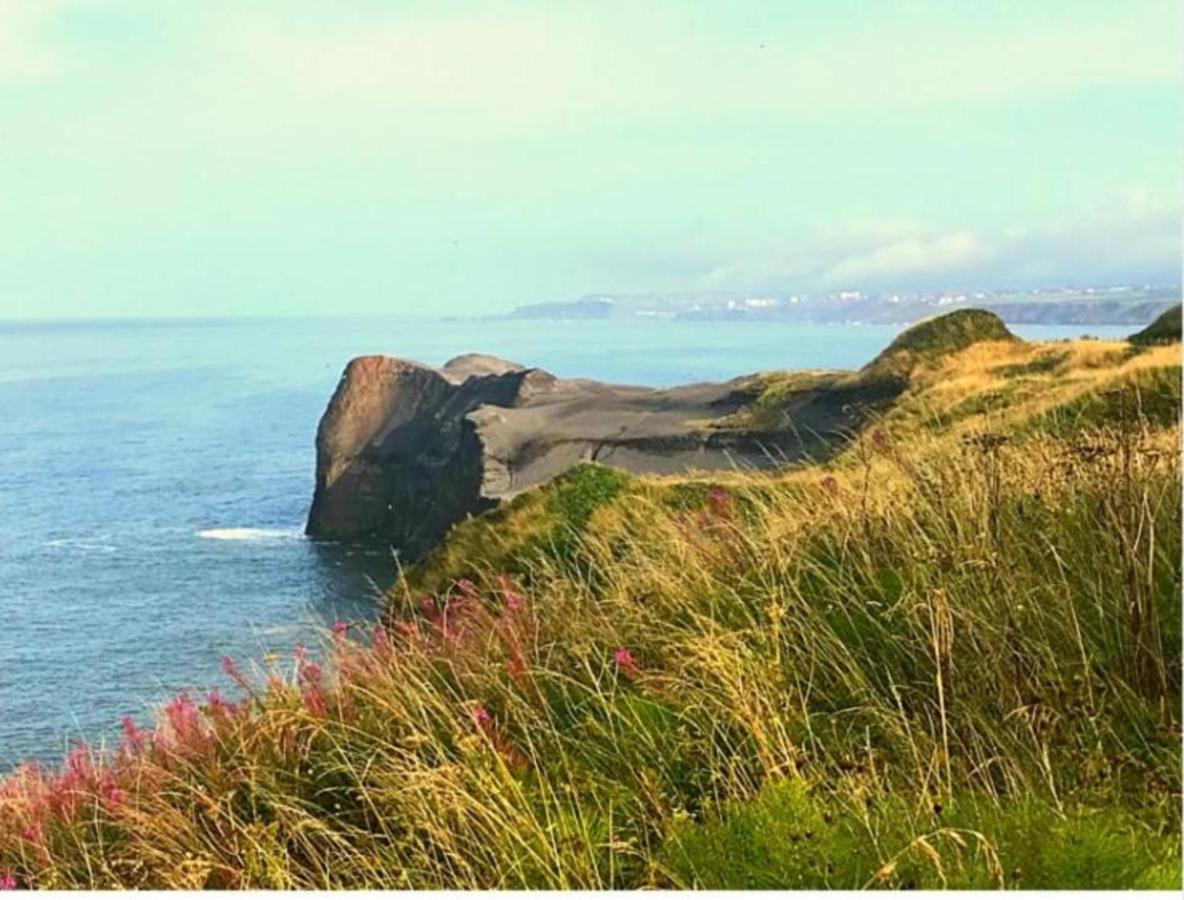 Sycamore - Yorkshire Coast Lets Holiday home